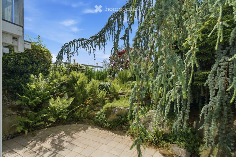 A lush garden area with various plants, including ferns and conifers, arranged on a paved pathway. The garden is well-maintained with a mix of greenery and stone elements.