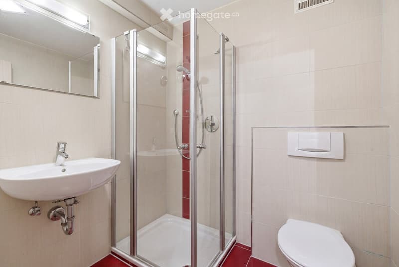 Modern bathroom with a white sink, mirror, toilet, and a glass-enclosed shower with red tiles.