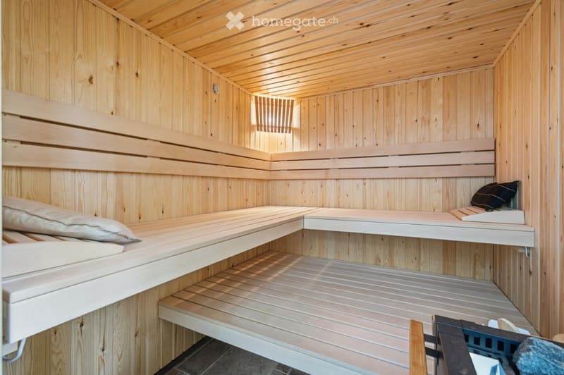 Wooden sauna with multiple benches and pillows, natural wood walls and ceiling, small window at the back.