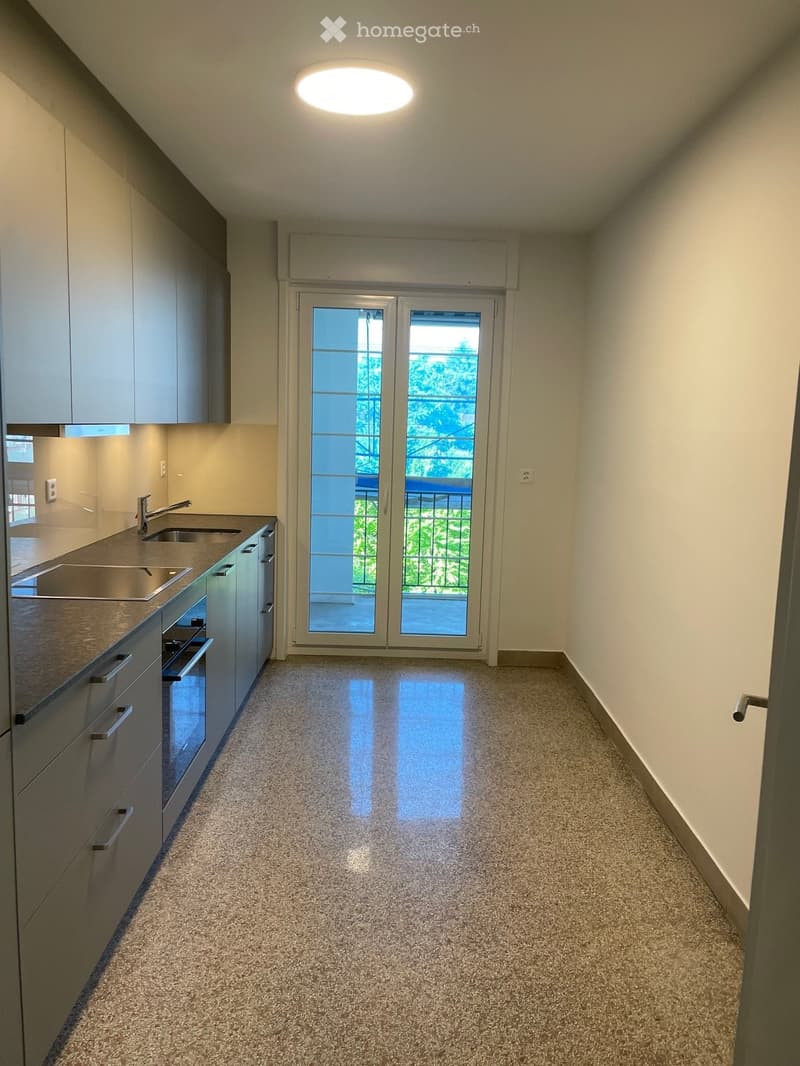 Modern kitchen with stainless steel sink, faucet, oven, and cabinets, leading to a balcony with a view of greenery.
