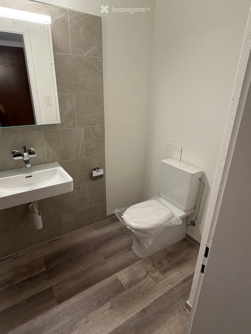 Modern bathroom with a toilet, sink, and mirror. The walls are tiled in a neutral color, and the floor is made of wood.