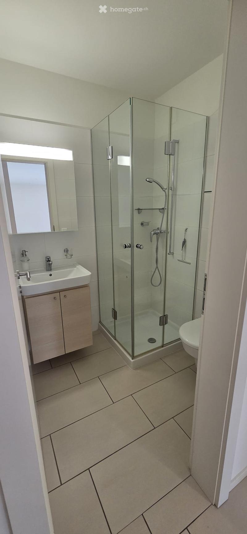 Modern bathroom with a glass-enclosed shower, a white sink with a mirror, and a toilet. The floor is tiled with beige tiles and black grout lines.