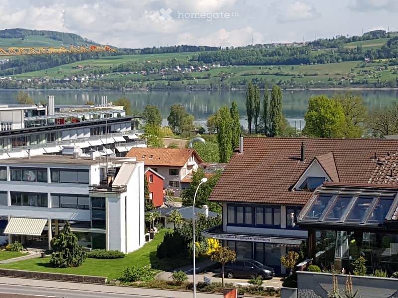 A scenic view of a lakeside town with modern and traditional houses, surrounded by green hills and a body of water.