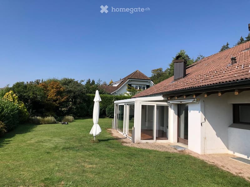Lawn with a white umbrella, a modern house with a glass extension, and a well-maintained garden.