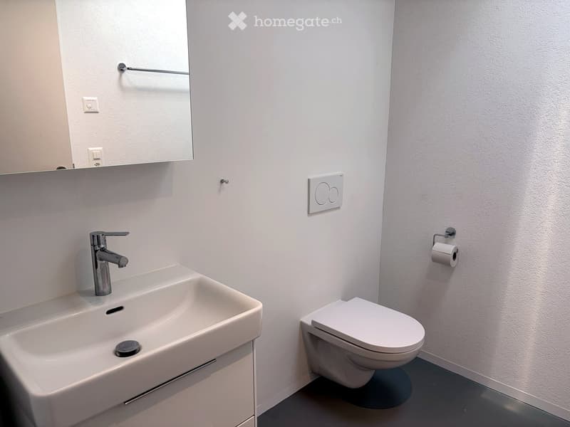 Modern bathroom with a white sink, chrome faucet, toilet, mirror, and toilet paper holder.
