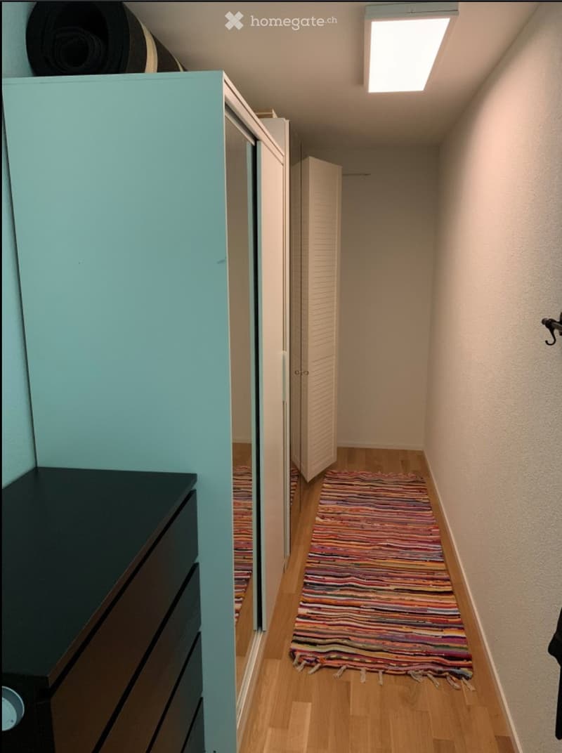 Narrow hallway with wooden flooring, a colorful runner rug, and built-in storage units on one side.