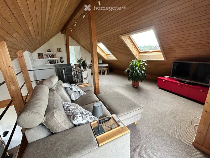 Modern living room with wooden beams, skylights, grey sofa, coffee table, TV stand, and potted plant.