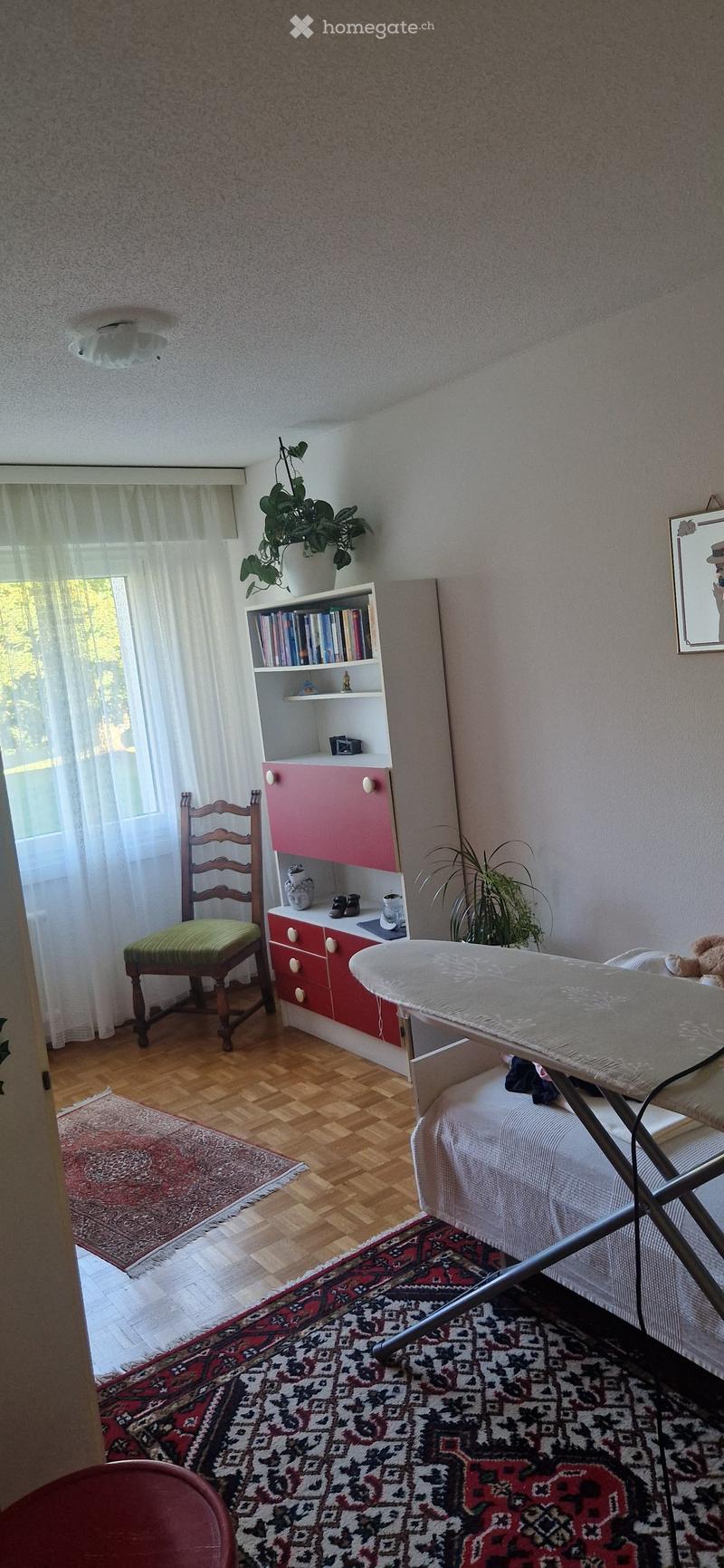 A cozy room with wooden flooring, a red and white cabinet, a bookshelf, a chair, a table, and plants.