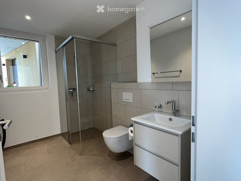 Modern bathroom with a white sink, toilet, glass-enclosed shower, and a large mirror above the sink.