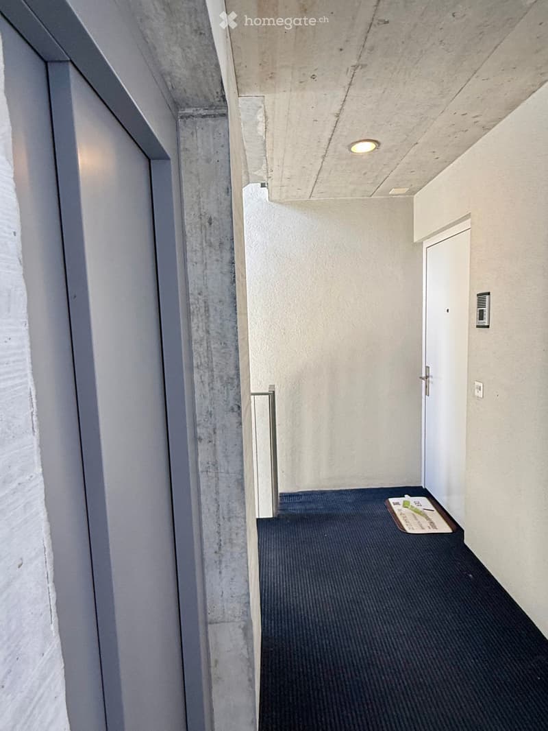 Modern hallway with concrete walls, carpeted floor, and a single door at the end.