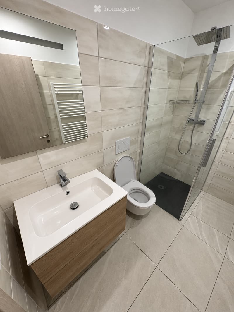 Modern bathroom with a white sink, toilet, large mirror, and glass-enclosed shower. Light-colored tiles and wooden cabinetry.