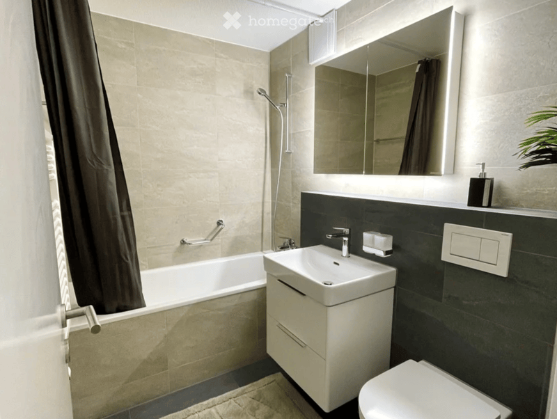 Modern bathroom with a bathtub, sink, toilet, large mirror, and a dark accent wall. Features a handheld showerhead, a handrail, and a soap dispenser on the counter.