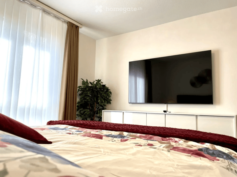 A well-lit bedroom with a large bed, colorful bedding, a mounted TV, a white cabinet, and a potted plant near the window.