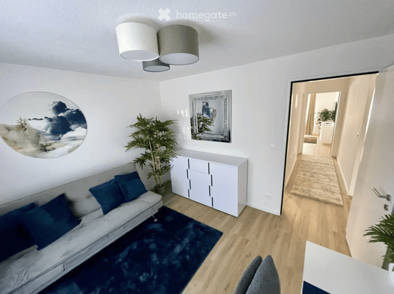 Modern living room with a grey sofa, dark blue cushions, a white cabinet, a large mirror, and a potted plant. The room features wooden flooring and a dark blue rug.