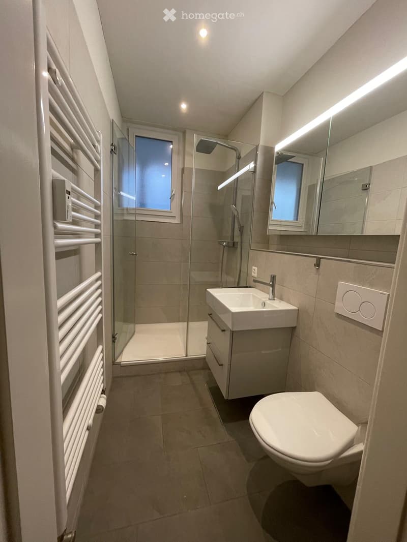 Modern bathroom with a toilet, sink, mirror, shower, and radiator. Features include a glass-enclosed shower, a built-in sink cabinet, and a window with a view.