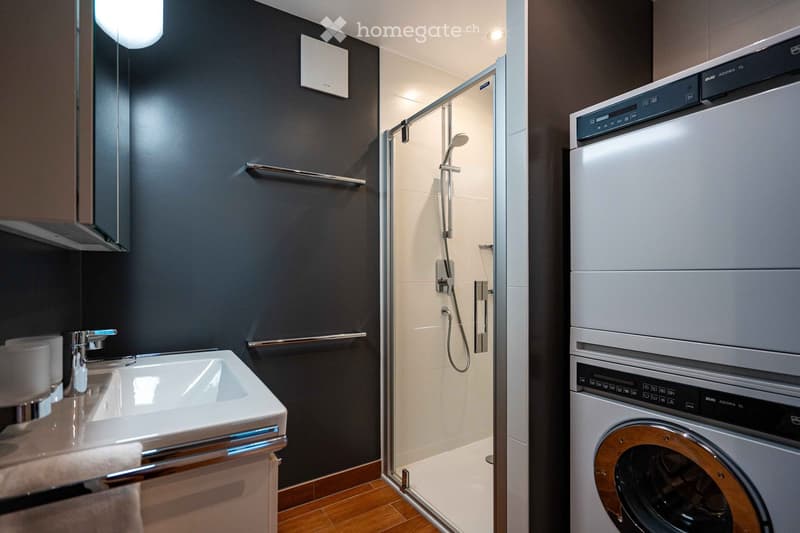 Modern bathroom with a sleek sink, glass-enclosed shower, and stacked washer/dryer unit.