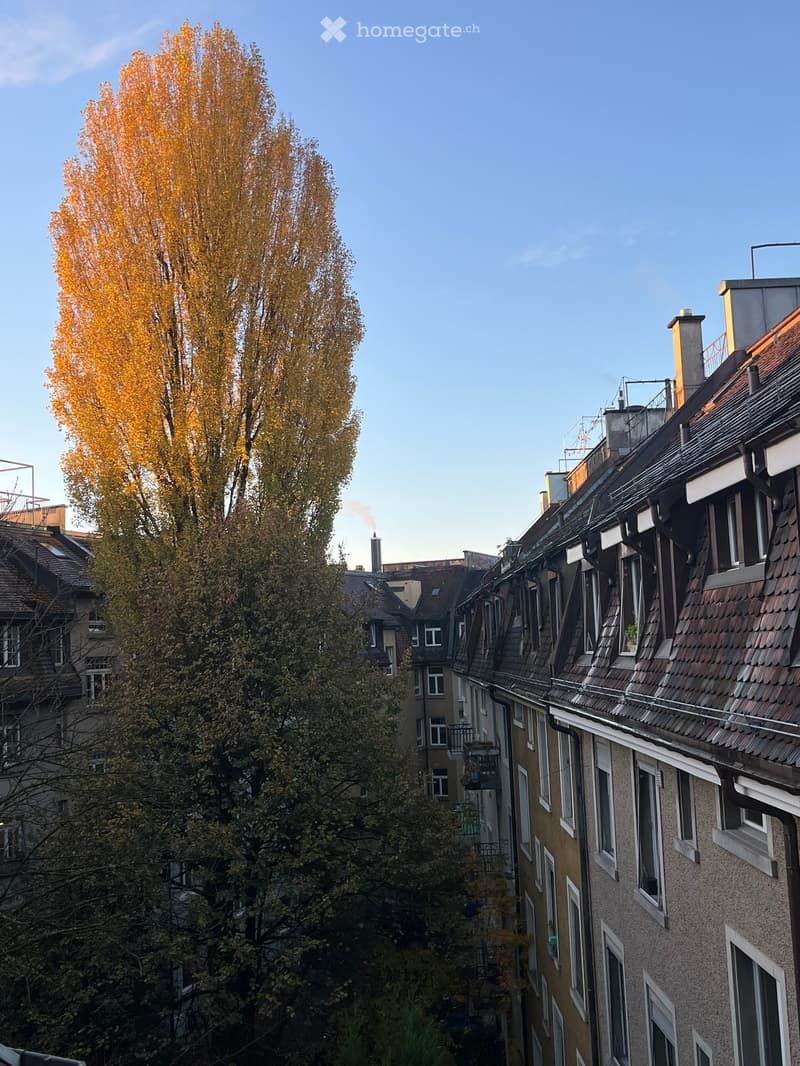 A row of multi-story residential buildings with pitched roofs, chimneys, and windows, surrounded by autumn-colored trees.
