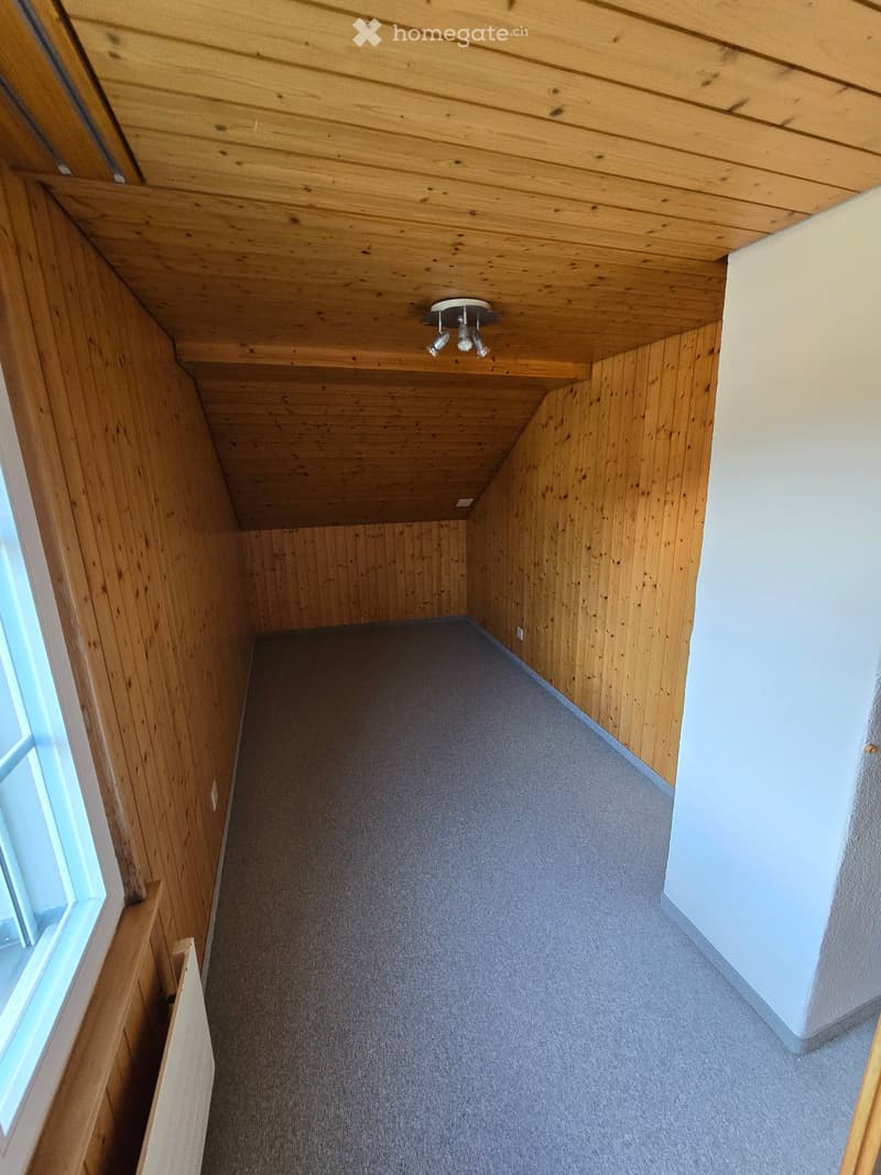 Wooden-paneled hallway with carpeted floor, recessed lighting fixture, and a window on the left side.