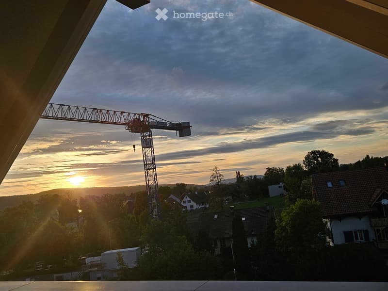 Balcony view overlooking a suburban neighborhood with houses, trees, and a construction crane against a sunset sky.