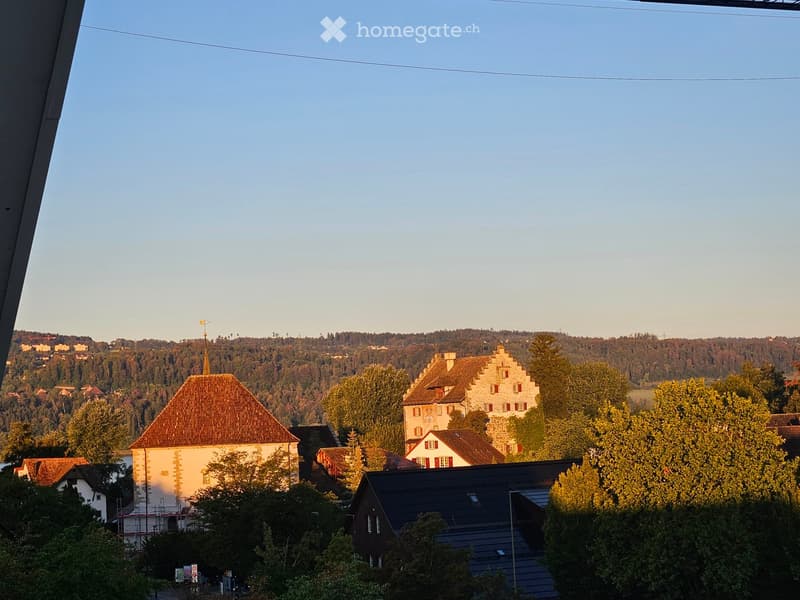 A scenic view of a village with traditional houses, trees, and a distant hill covered in forest.