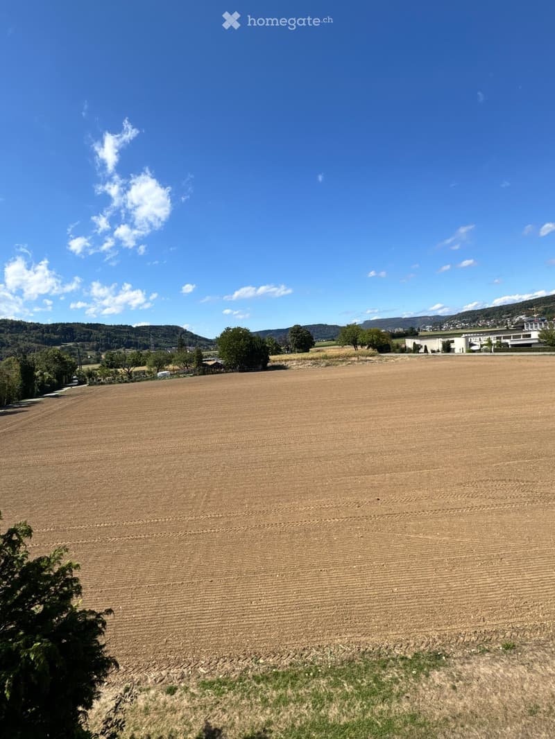 A wide, plowed field with visible furrows, surrounded by trees and distant hills under a clear blue sky.