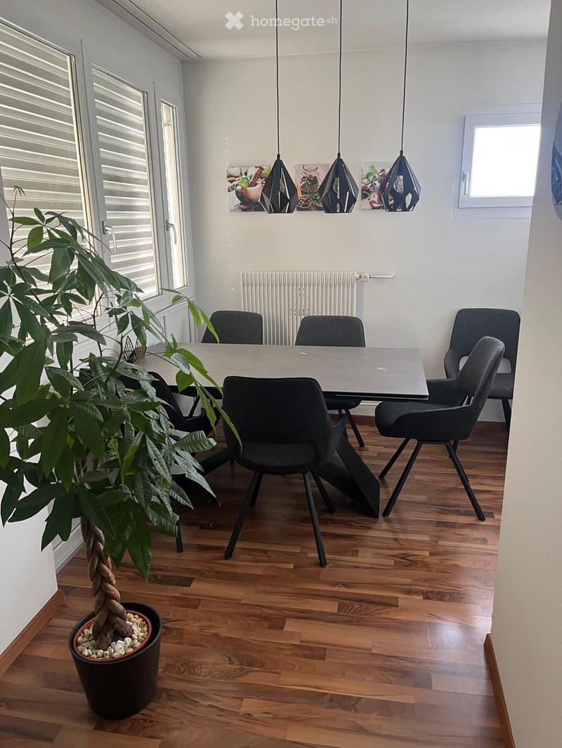 Modern dining area with wooden flooring, a sleek dining table surrounded by black chairs, and a large potted plant near the window.