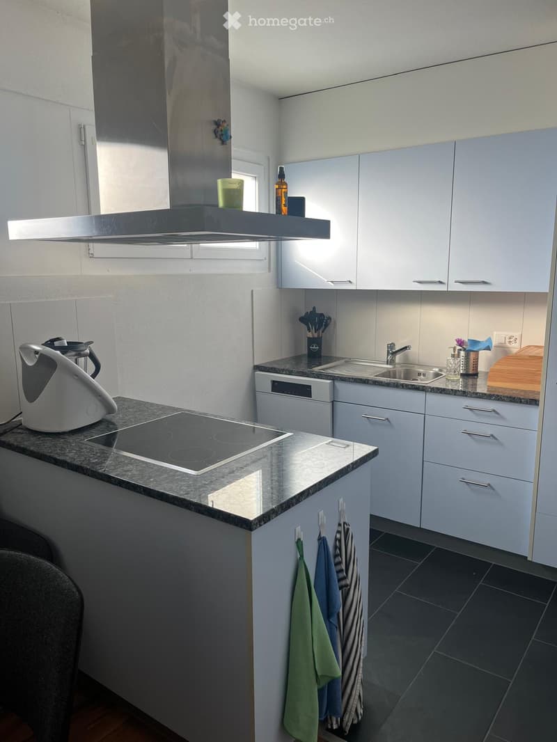 Modern kitchen with white cabinets, granite countertop, induction stove, dishwasher, and sink. Kitchen towels are hanging on a rack.