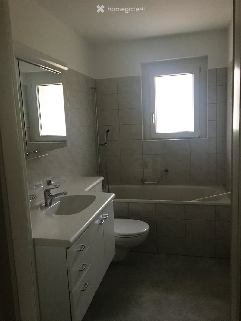 Modern bathroom with a white sink, faucet, toilet, bathtub, and mirror. The walls are tiled, and there are two windows providing natural light.
