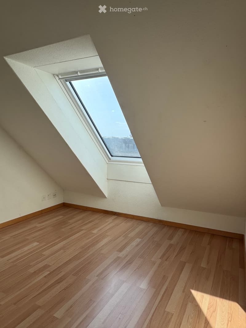 Empty attic or loft space with wooden flooring, slanted ceilings, and a skylight window allowing natural light.
