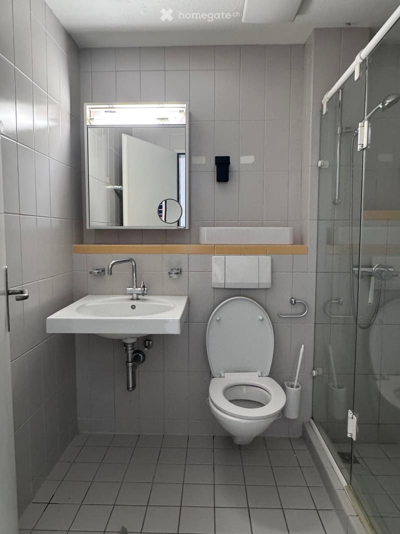 Modern bathroom with a white sink, chrome faucet, toilet, mirror, and a glass-enclosed shower area.