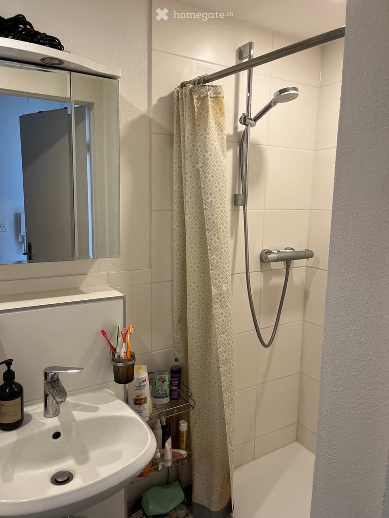 Modern bathroom with a white sink, mirror, toothbrush holder, and a shower area with a curtain and handheld showerhead.