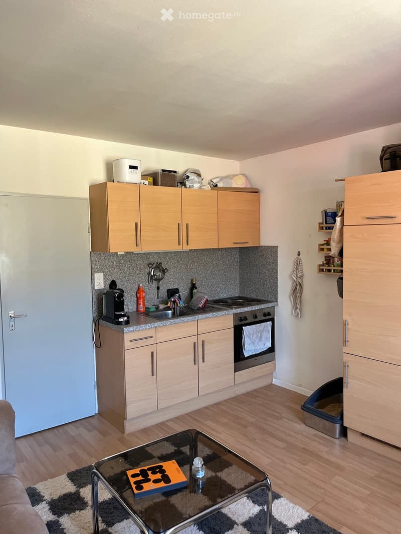 {"type": "Furnished Room", "objects": ["coffee table", "oven", "refrigerator", "cabinets", "sink", "faucet", "coffee maker", "oven mitt", "oven", "oven cleaner", "oven cleaner", "oven cleaner", "oven cleaner", "oven cleaner", "oven cleaner", "oven cleaner