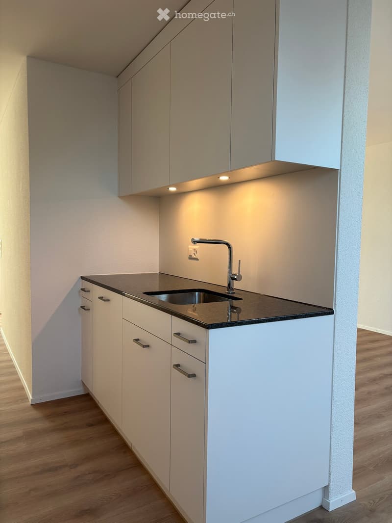 Modern kitchen with white cabinets, black countertop, and a single sink with a modern faucet.