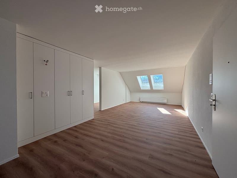 Empty attic room with wooden flooring, white walls, built-in wardrobes, and two skylight windows.