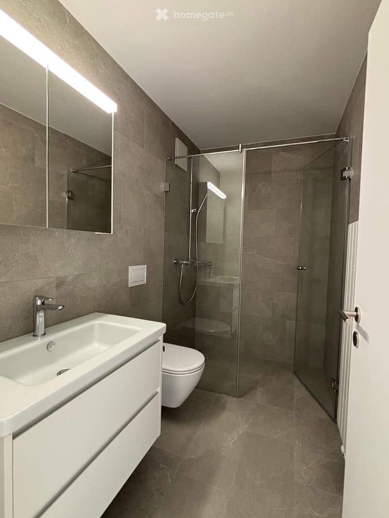 Modern bathroom with a white sink, chrome faucet, large mirror, toilet, and a glass-enclosed shower with a modern showerhead.