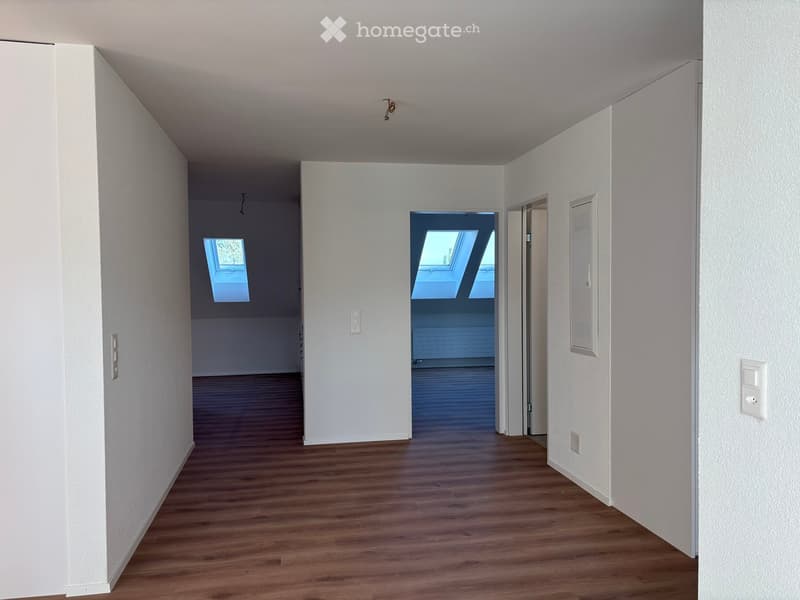 Empty hallway with wooden flooring, white walls, and two skylight windows at the end.