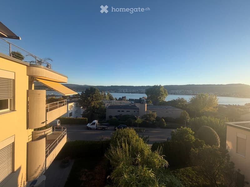 Balcony overlooking a street with a view of a lake and distant mountains, with surrounding greenery and a few parked vehicles.