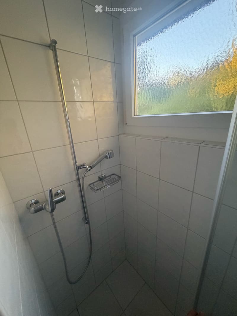 Gepflegte 4,5 Zimmerwohnung mit Seesicht und Marmorboden in Feldmeilen (31)