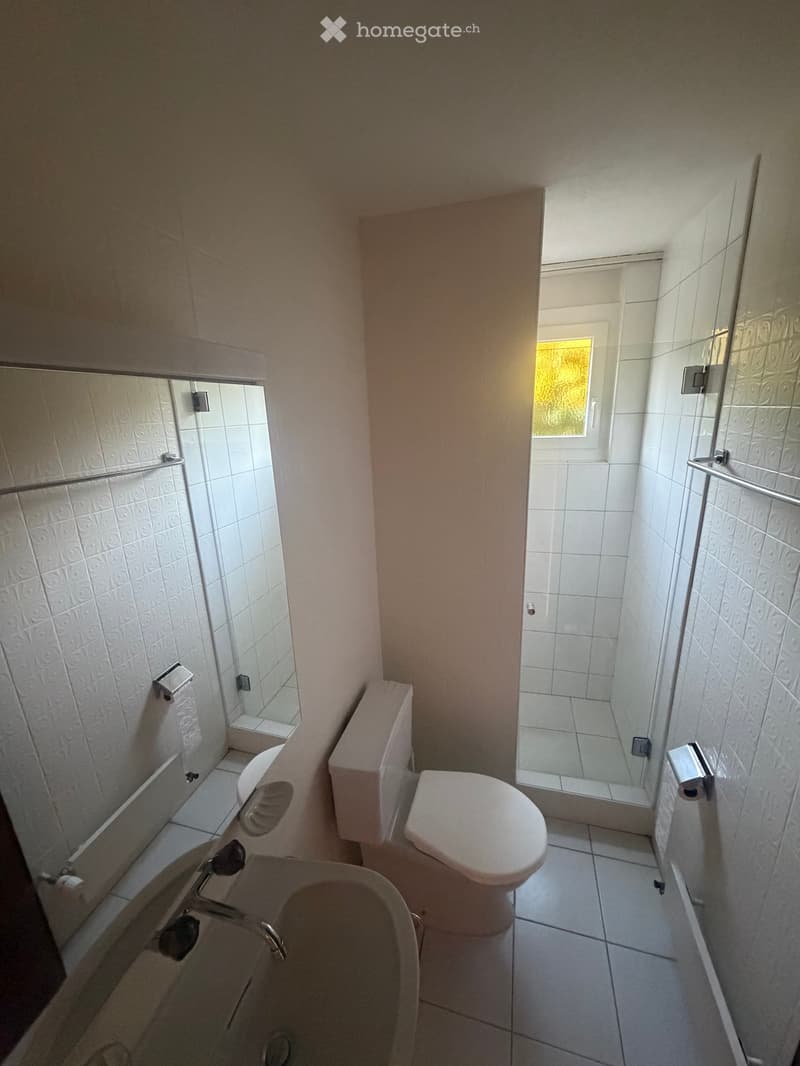 Modern bathroom with white tiles, a toilet, bathtub, shower, and a window providing natural light.