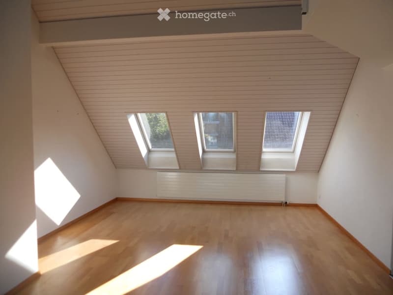 Empty attic room with wooden flooring, white walls, and three skylights allowing natural light to enter.