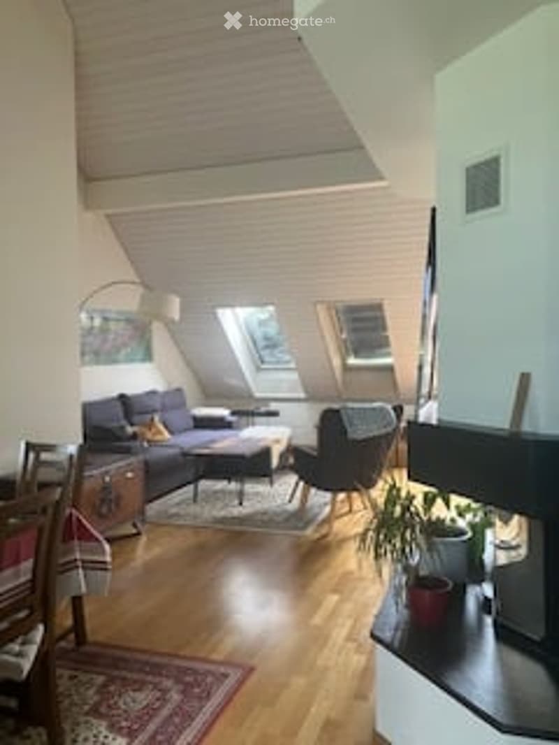 Bright living room with wooden flooring, skylight windows, a sofa, coffee table, armchair, floor lamp, dining table, and potted plant.