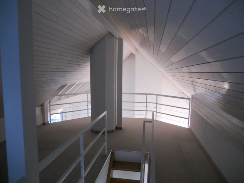 A modern, well-lit hallway with wooden paneling and white railings, leading to a bright open space.
