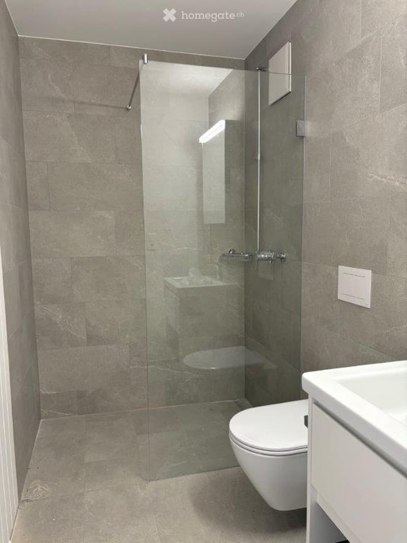 Modern bathroom with a glass shower enclosure, a toilet, and a sink. The walls and floor are tiled in a neutral gray color, and the space is well-lit with natural light.