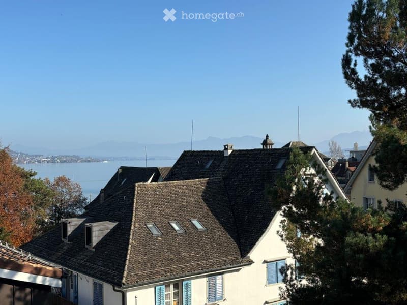 A multi-story house with a dark tiled roof, light blue shutters, and a scenic view of a lake and distant mountains.