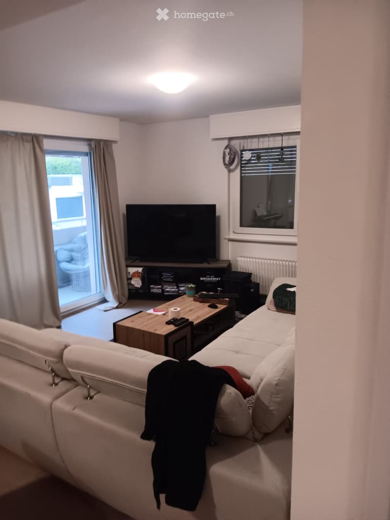 Modern living room with a white sectional sofa, wooden coffee table, flat-screen TV on a stand, and large sliding glass door leading to a balcony.
