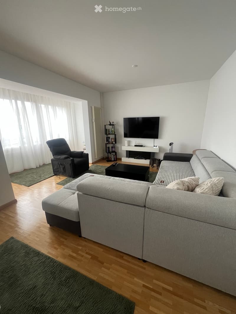Modern living room with grey sectional sofa, black armchair, coffee table, television, fireplace, and a small cat. The room features wooden flooring and large windows with white curtains.