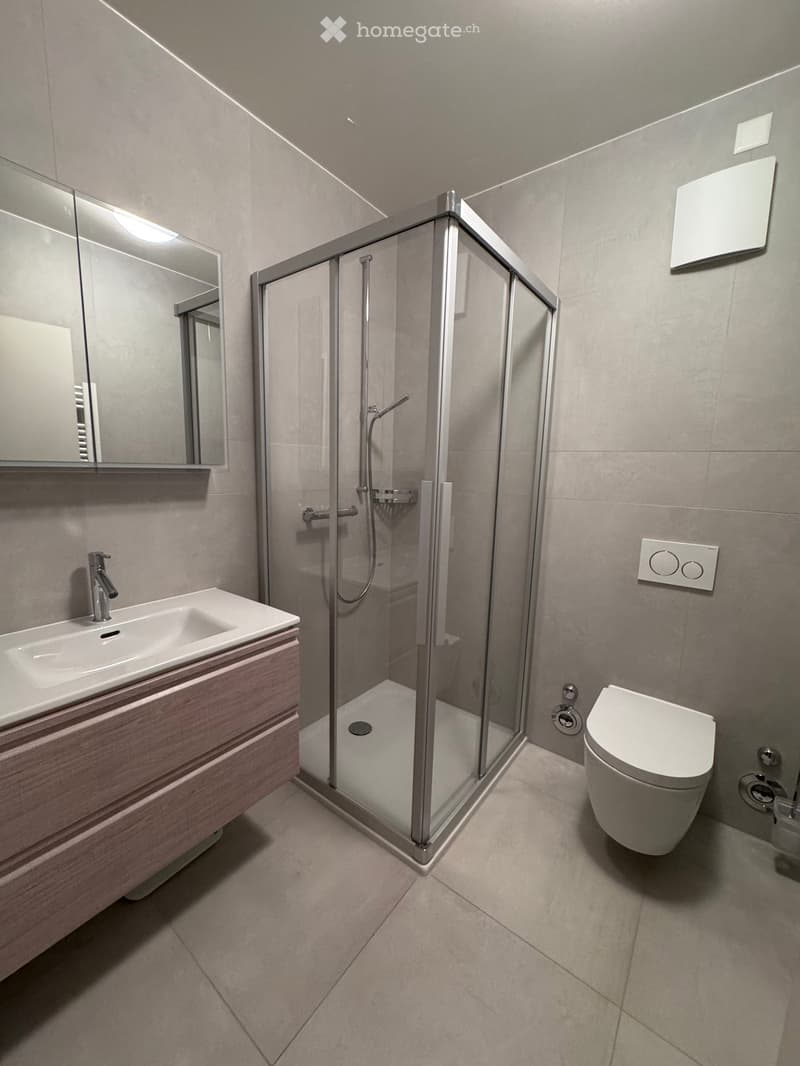 Spacious 6.5-Room Ground Floor Apartment with Private Garden and Terrace (12)