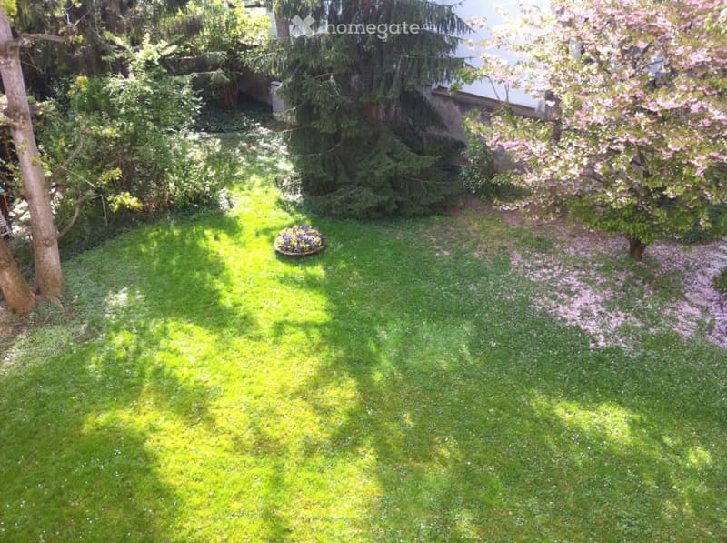green lawn, flower bed, trees, pink flowers, building in the background