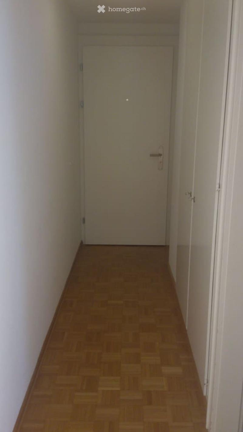 Empty hallway with wooden floor, white walls, white doors