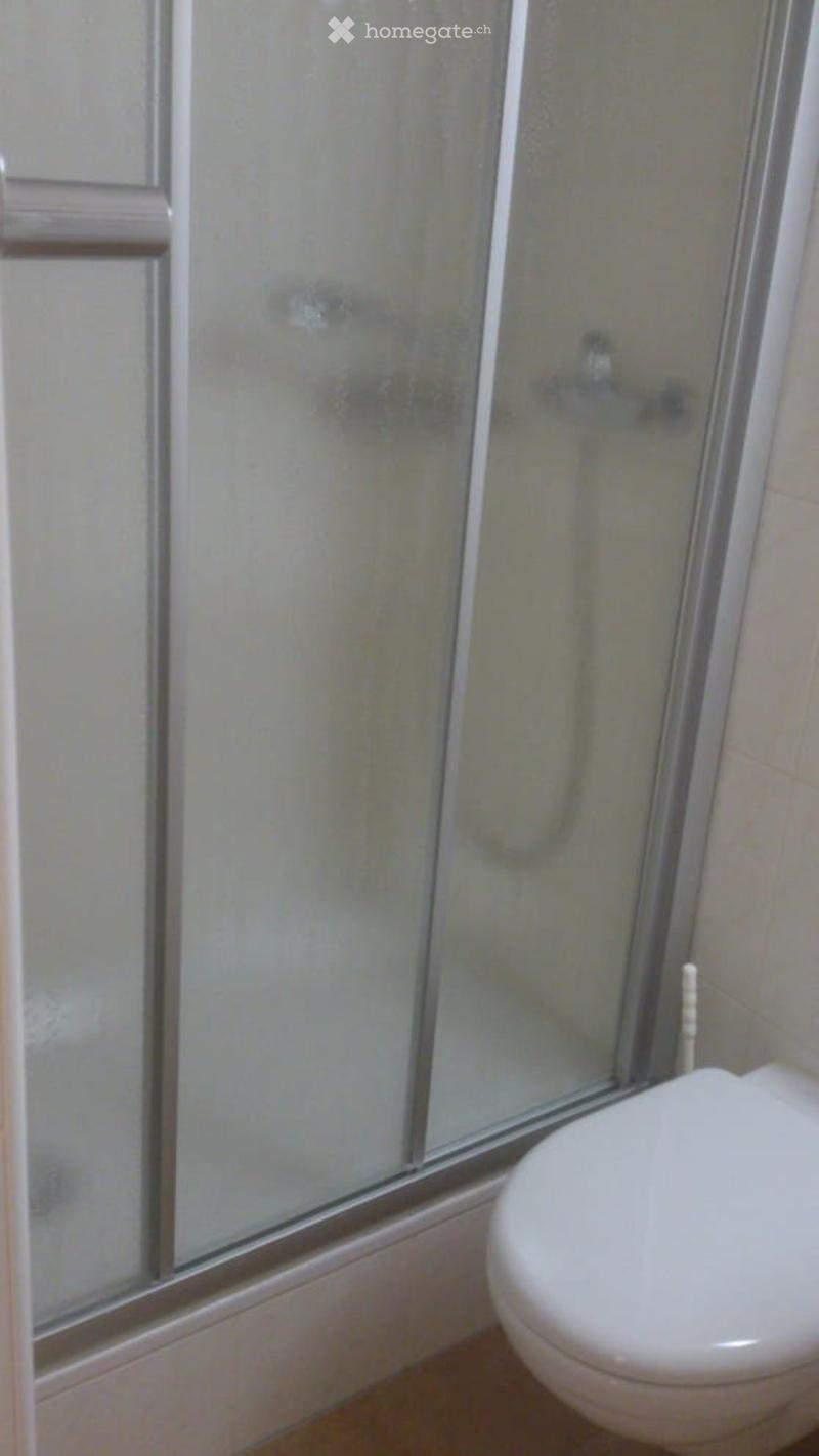 shower enclosure, white toilet, white tiles